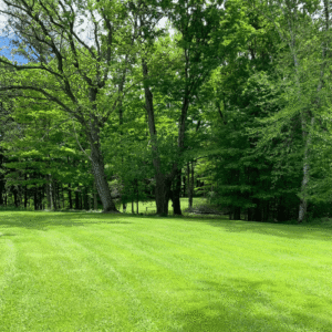 On-Site Wedding Venue House Backyard with lawn and woods